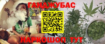 гашик Обь
