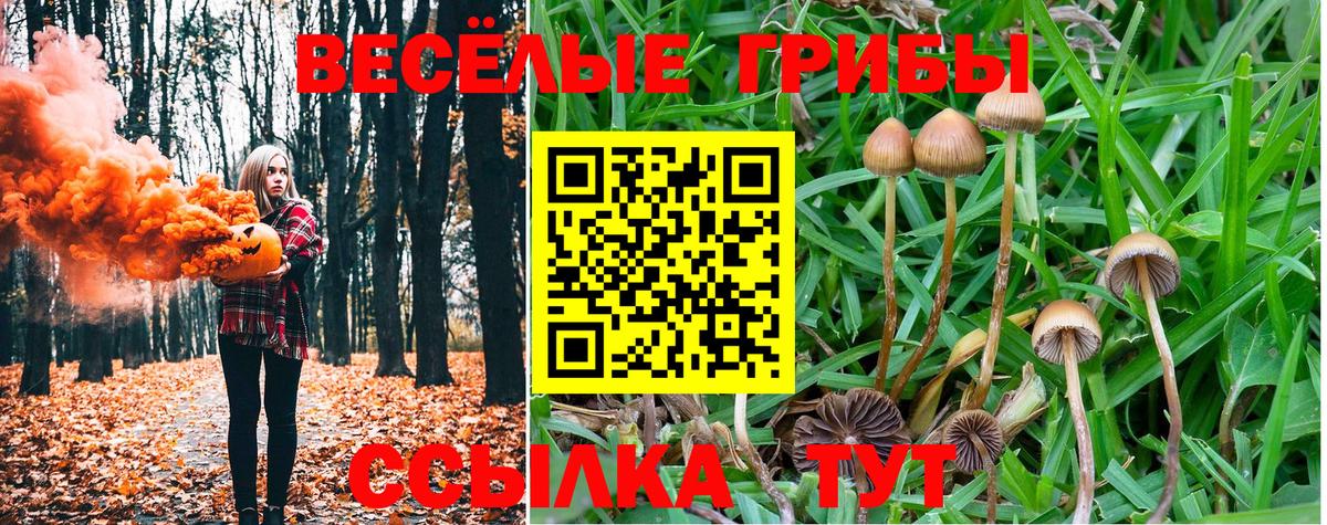 Псилоцибиновые грибы MAGIC MUSHROOMS  Псилоцибиновые грибы Psilocybe  Тутаев 