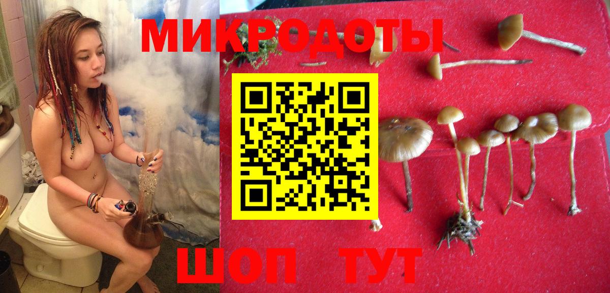 Тутаев  Галлюциногенные грибы Magic Shrooms  Вход с VPN 