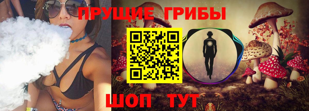 Псилоцибиновые грибы Cubensis Тутаев