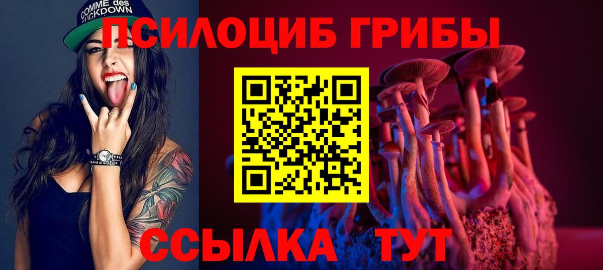 Псилоцибиновые грибы ЛСД Тутаев