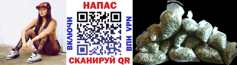 Конопля сатива  Тутаев 